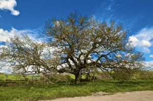 Schermata 04-2457127 alle 16.58.18