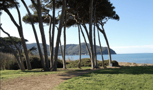 Schermata 04-2457127 alle 17.17.34